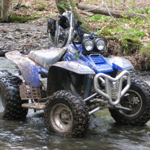 Yamaha Warrior