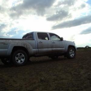 my tacoma