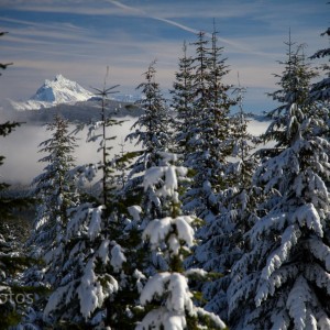Santiam-7291