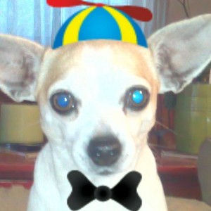 Tito-001