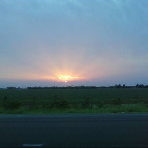 Sunset_on_Alamo_Rd_