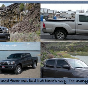 tacoma_signature4