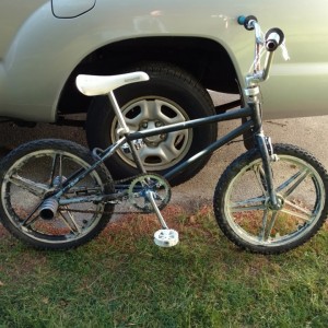 86 Schwinn