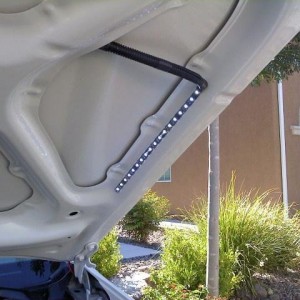 2010tacohoodlight4