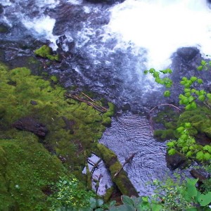 IMG00178-20100530-1736