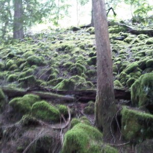 IMG00172-20100530-1734