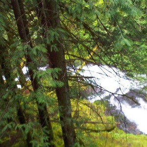 IMG00177-20100530-1736