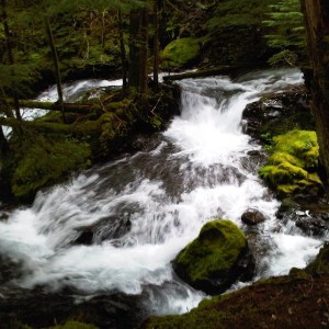 IMG00174-20100530-1735