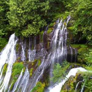 IMG00176-20100530-1736