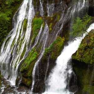 IMG00175-20100530-1736
