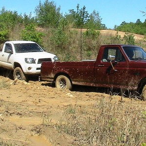 IMG_06263