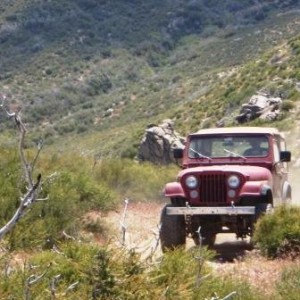 Cleghorn Pass 5-22-2010