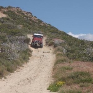 Cleghorn 5-22-2010