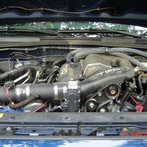 2008 Tacoma