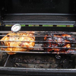 chicken