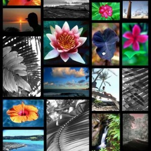 my fotos