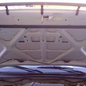 2010tacohoodlight12