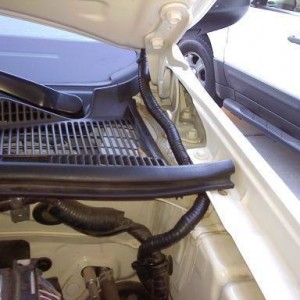 2010tacohoodlight11