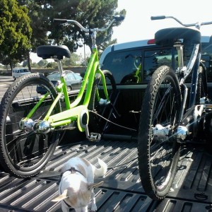 bike rack