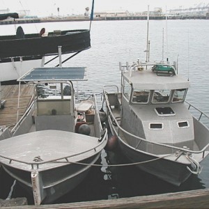both_skiffs