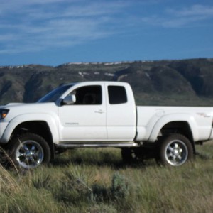 o8taco93_stang_047