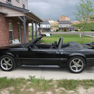 stang for sale or trade