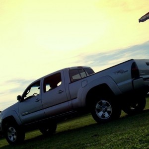 my taco