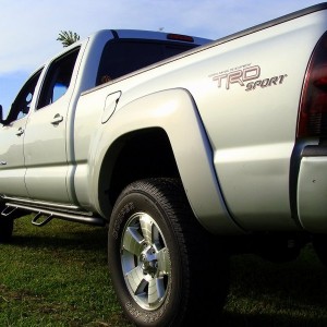 my taco