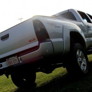 my taco