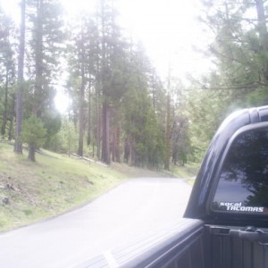 S4022873