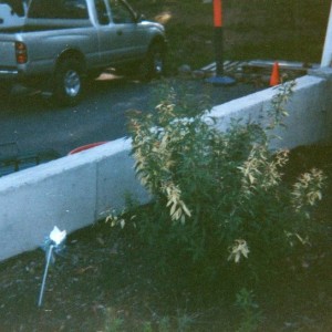 Back in the day of the 1st gen