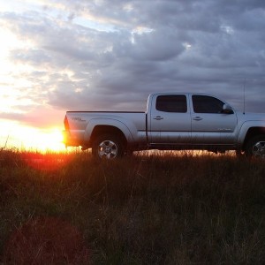 my taco