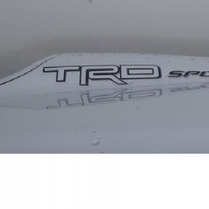 TRD_Scoop_Cut