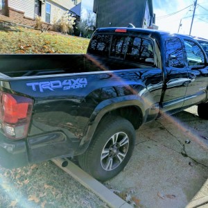 Taco Sport