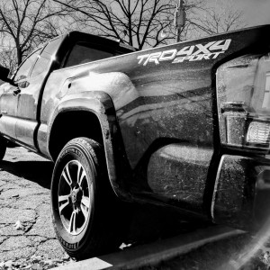 Taco Sport 3