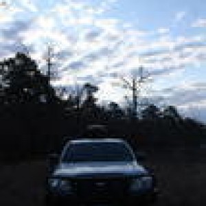 th_IMG_6431