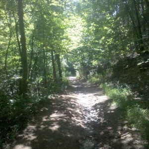 Four_Wheelin_at_Boomer_Falls_021