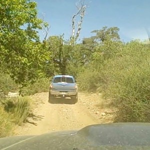 VID00020