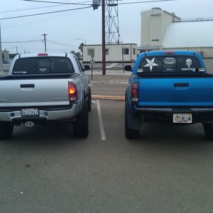 Tacomas