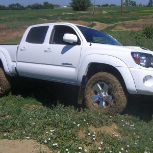 full flex