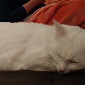Jean-Luc Picat likes his hard pillow...