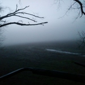 Slightly foggy in the stand this mornin