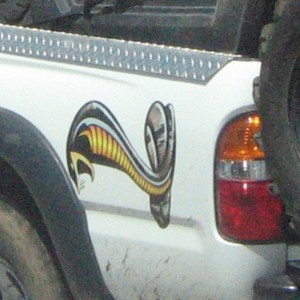 COBRA