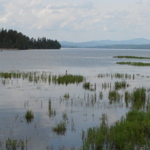 Maine_2010_010