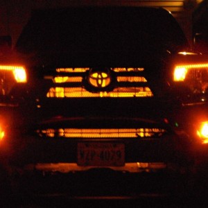 New Fogs