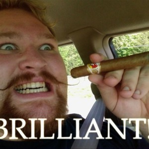 brilliant_dammit