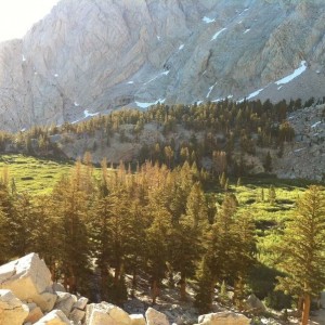 Trail Meadow
