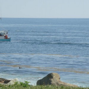 Portland, Me