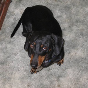 Peanut