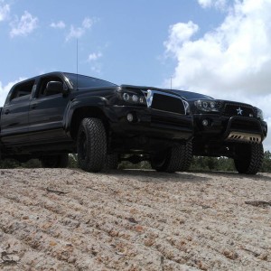 05 tacomas